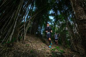 BIB: 
                            <button type="button" onclick="openModal(19395361)" class="btn btn-primary btn-sm float-right btn-popup" data-toggle="modal" data-target=".modal-high-quality">
                        <i class="fas fa-shopping-cart"></i> Add to Cart
                    </button>
                                            <button type="button" onclick="isThisMe(19395361, true)" class="btn btn-success btn-sm float-right btn-popup btn-isme hidden" data-toggle="tooltip" data-placement="bottom" title="นี่คือรูปของคุณใช่ไหม คลิกที่นี่เพื่อเอาเข้าอัลบั้ม">
                        <i class="fas fa-plus"></i> Add to album
                    </button>
                    <button type="button" onclick="isThisMe(19395361, false)" class="btn btn-warning btn-sm float-right btn-popup btn-isnotme hidden">
                        <i class="fas fa-ban"></i> Remove from album
                    </button>